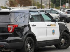 Motorista da Califórnia supostamente mata mais 2 pessoas enquanto estava sob fiança por acidente deadly anterior