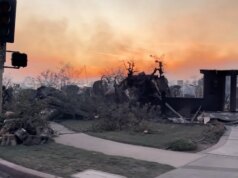 A recuperação do incêndio florestal em Los Angeles entra no segundo ano enquanto a frustração e a incerteza persistem