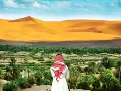 Será que a Arábia Saudita conseguirá tornar verde a sua vasta paisagem desértica plantando 10 mil milhões de árvores?