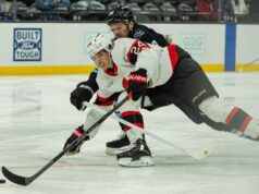 Senadores ficam aquém contra Mammoth