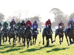 O lendário Luke tenta melhorar sua reputação em Fontwell