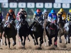 Hoje na Sky Sports activities Racing: Quddwah é manchete em Zabeel Mile