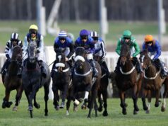 So Proud pronto para deixar sua marca nos obstáculos em Newcastle