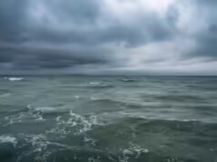 Este oceano perto do Panamá está morrendo e a mesma coisa pode acontecer em todo o planeta