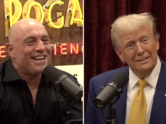 Joe Rogan insiste que Kamala Harris teria se saído ‘bem’ em seu programa de 3 horas: ‘Poderia ter conversado por horas’