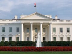 Casa Branca ‘focada’ na acessibilidade enquanto Trump suaviza estratégia tarifária