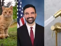 Instalando bidês, adotando um gato: o que o prefeito de Nova York, Zohran Mamdani, planeja mudar na Mansão Gracie?
